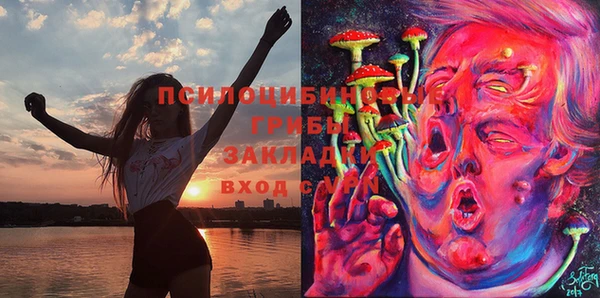 ПСИЛОЦИБИНОВЫЕ ГРИБЫ Алзамай