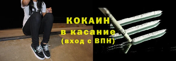 ПСИЛОЦИБИНОВЫЕ ГРИБЫ Алзамай