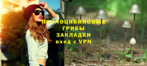 ПСИЛОЦИБИНОВЫЕ ГРИБЫ Алзамай
