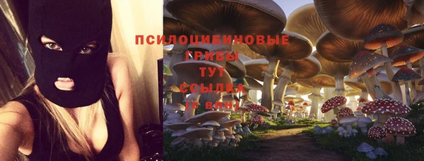 ПСИЛОЦИБИНОВЫЕ ГРИБЫ Алзамай