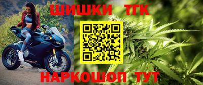 крисы Бийск